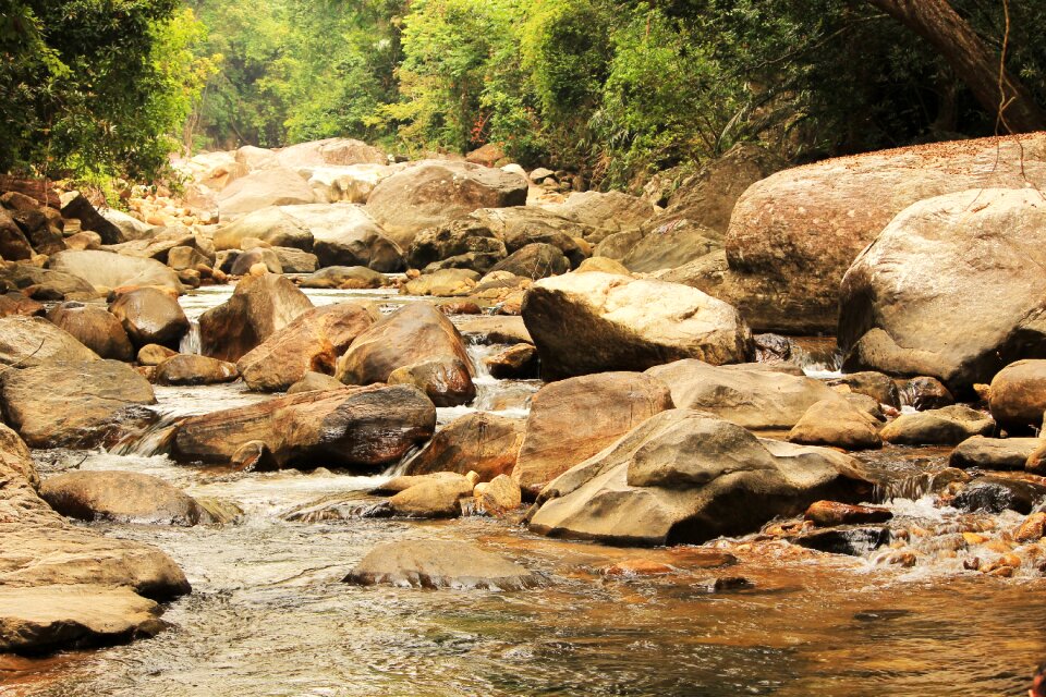 Stream river landscape