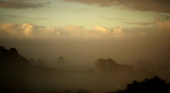 Dawn evening photo