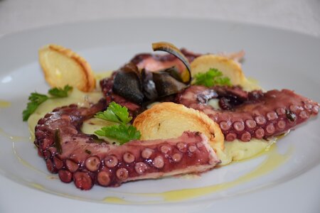 Meal epicurean octopus