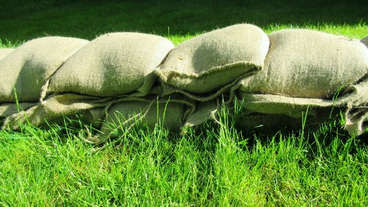 Nature green sand