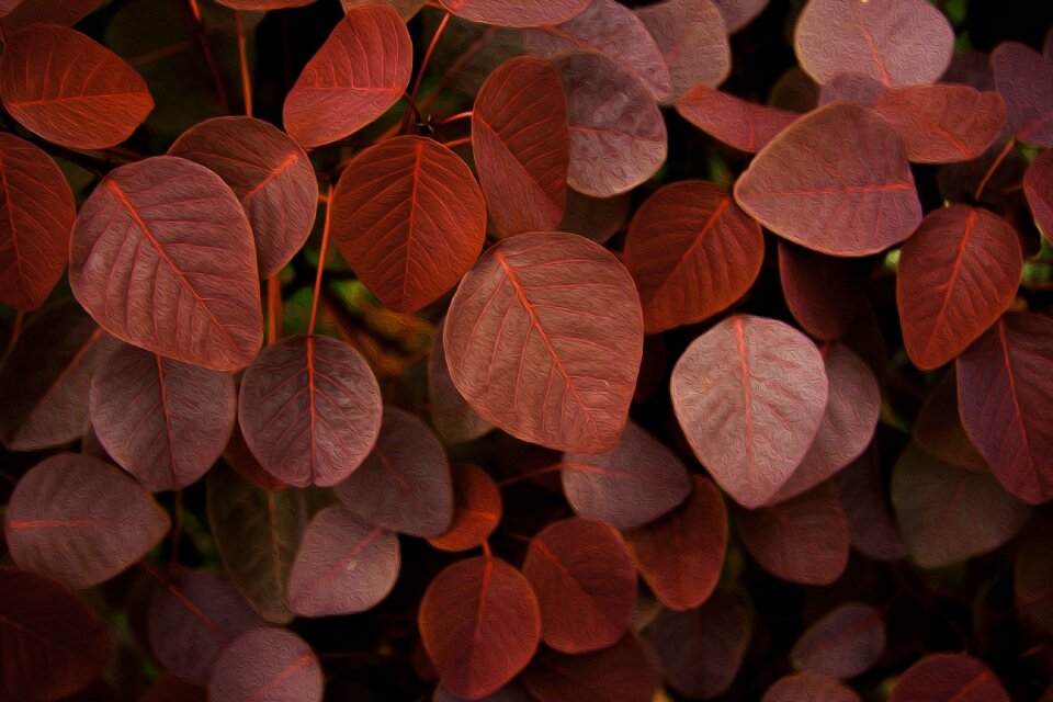 Nature growth