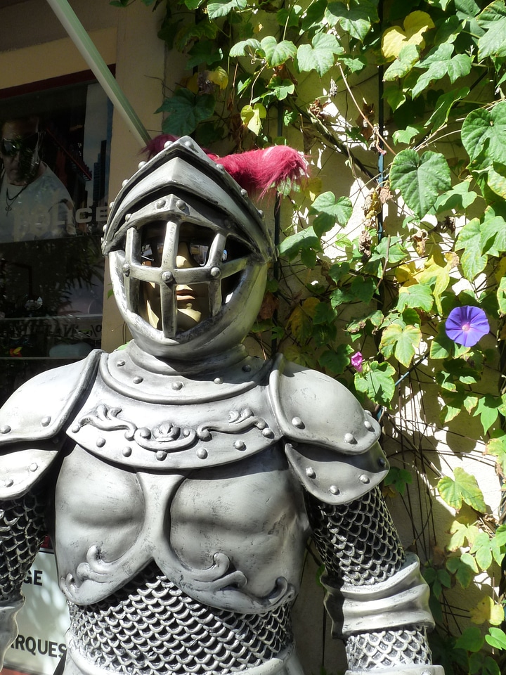Armor sunglasses facial