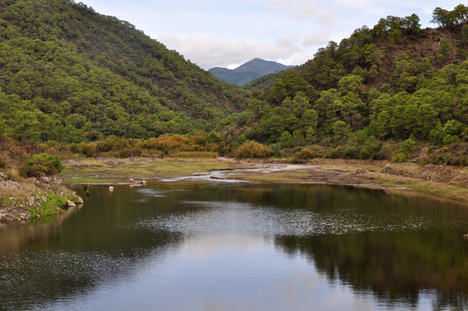 Nature marsh open air