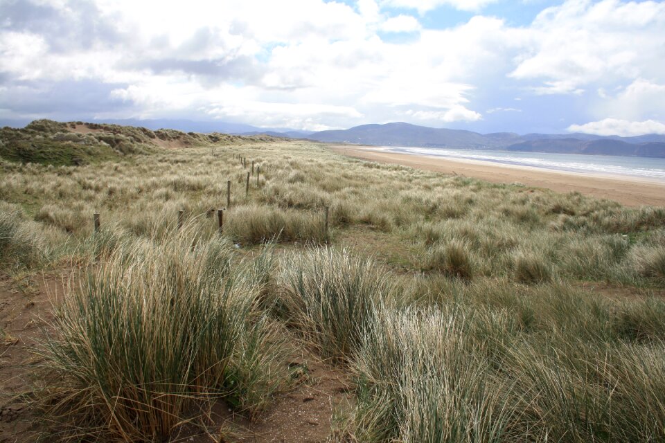 Sky grass travel