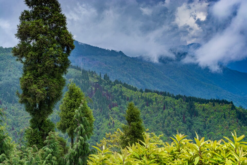 Wood landscape sky photo