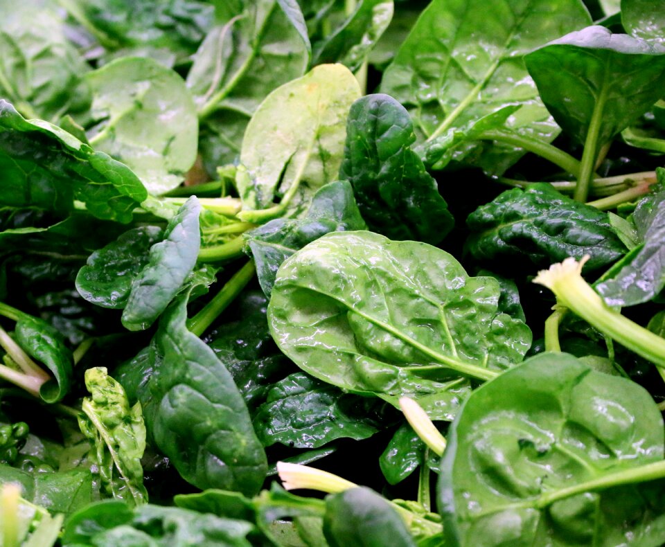 Greens salad crisp