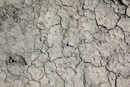 Dry rough earth