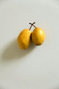Food nature minimalism