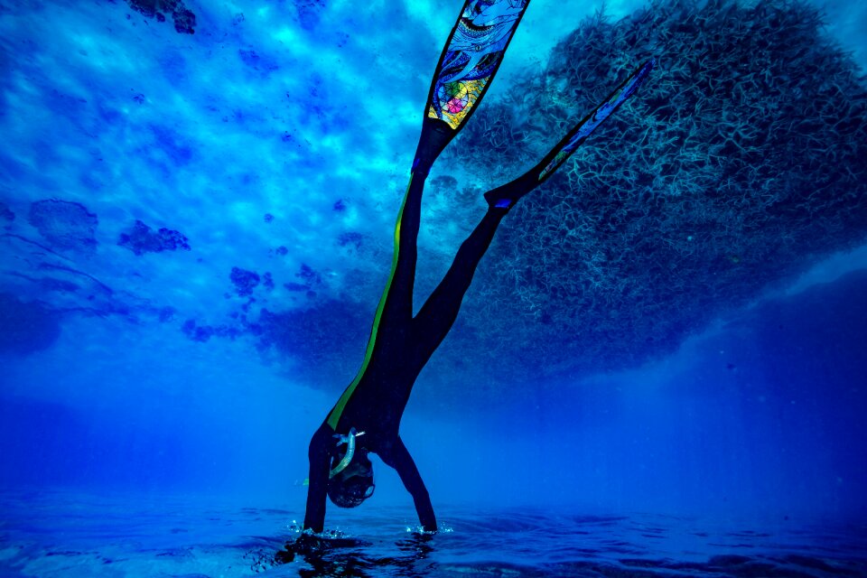 Marine sea nature
