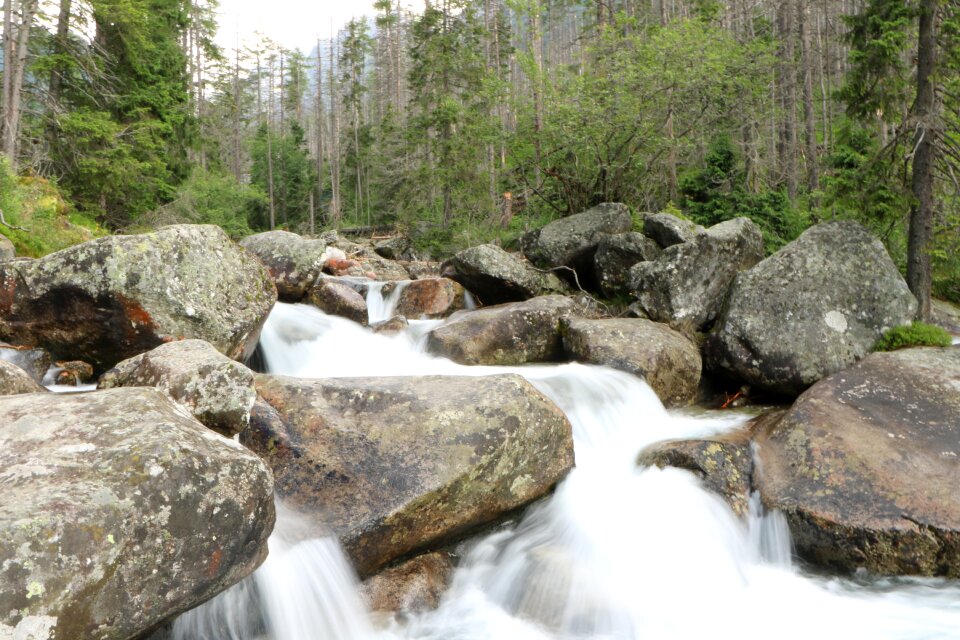 Stream tree waterfall photo