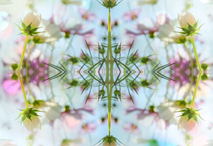 Beautiful floral kaleidoscope