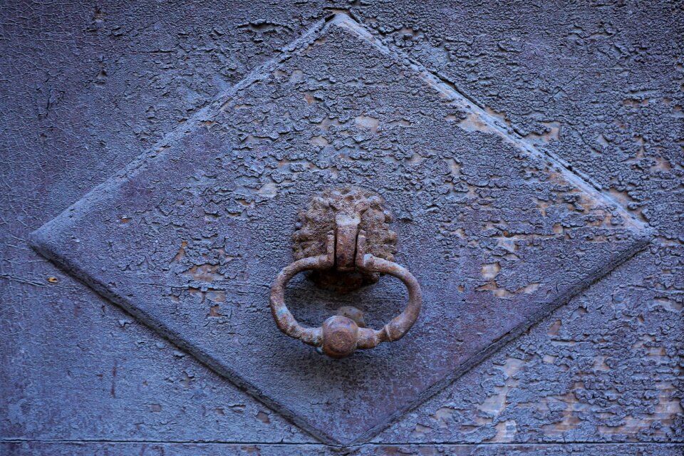 Antique entrance door