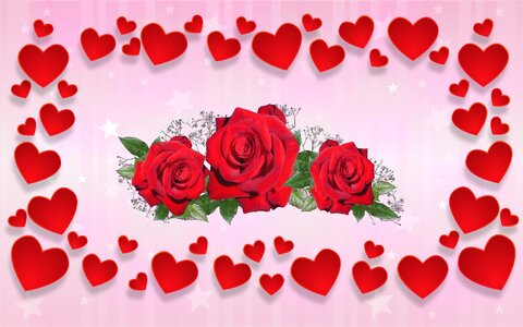 Heart roses romance