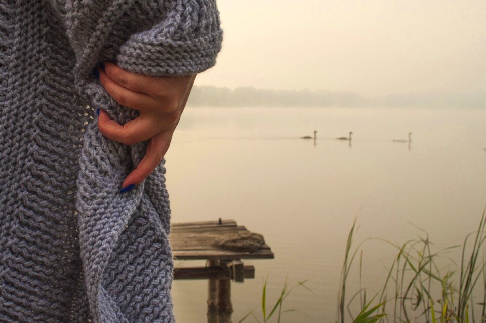 Nature lake the fog