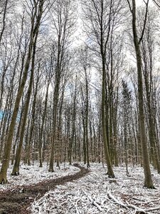 Park away path