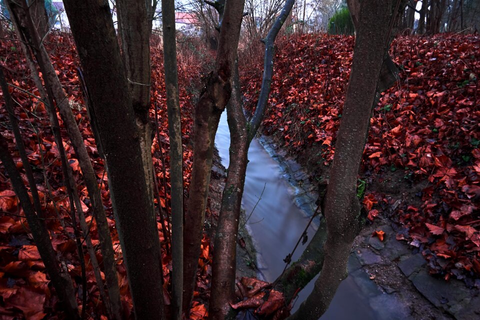 Autumn nature season