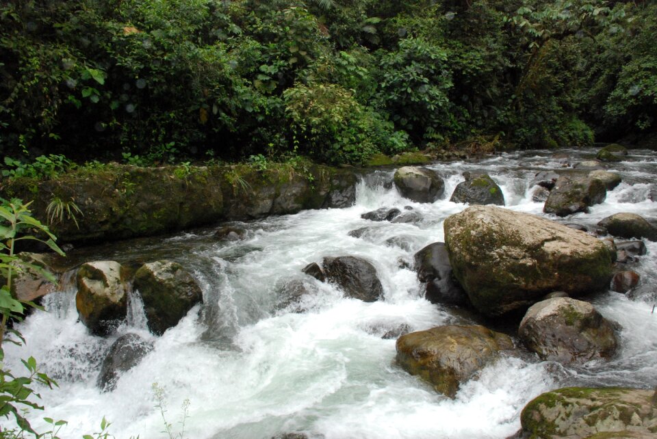 River nature indo