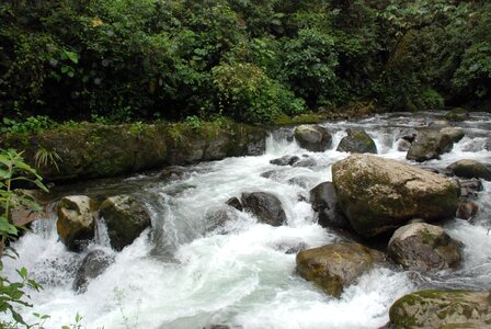 River nature indo