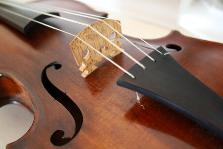 Instrument viola woods