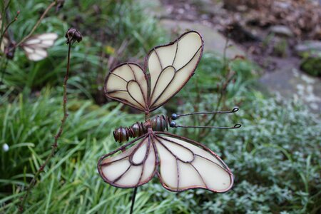 Butterfly close up gartendeko photo