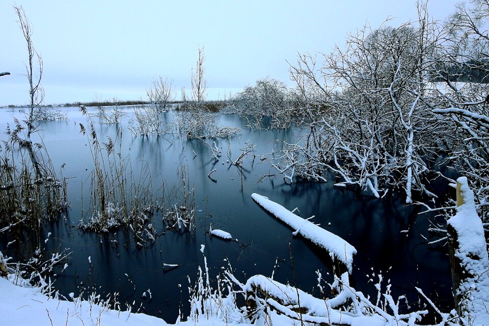 Cold nature landscape