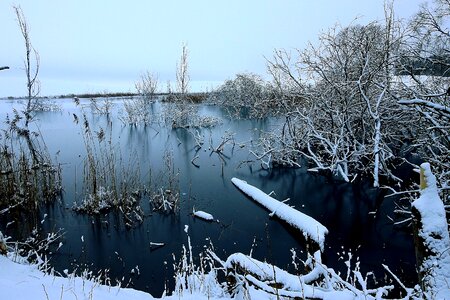 Cold nature landscape