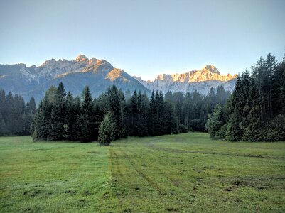 Wood panoramic