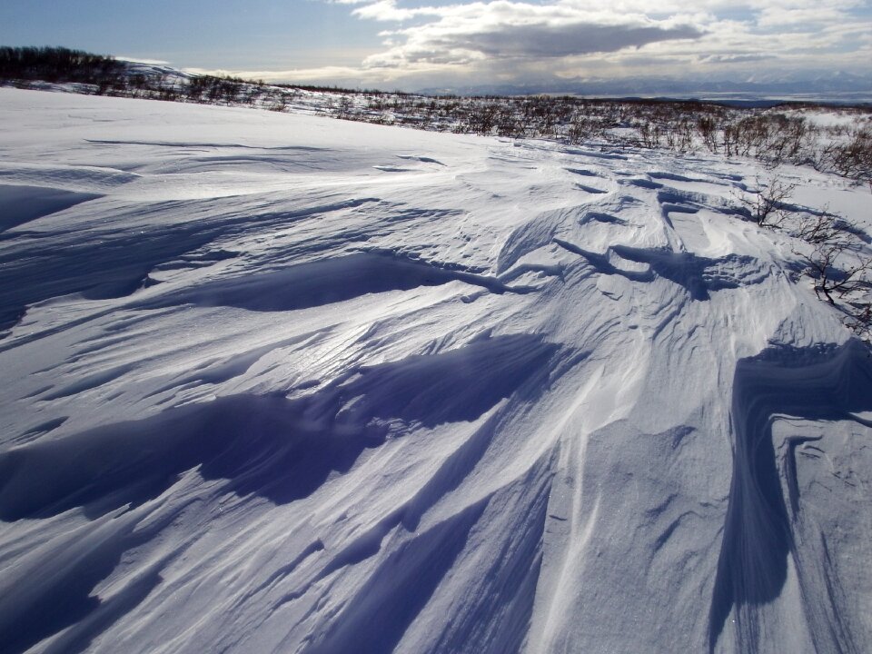 Leann wind frost photo