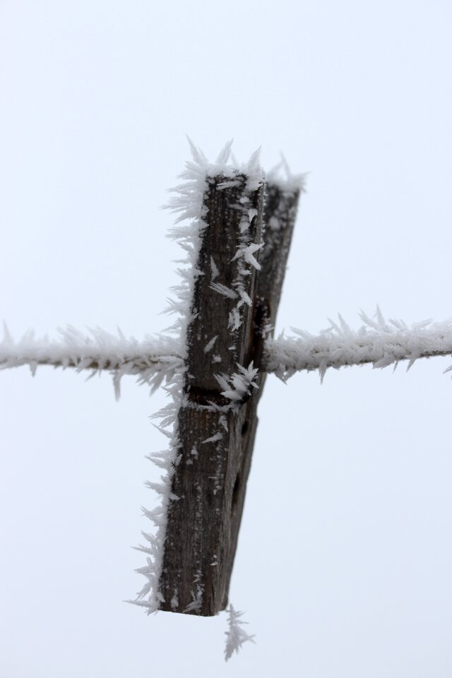 Rime winter white