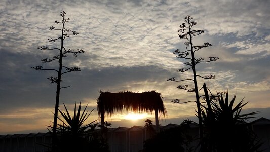 Sunset nature evening sun photo