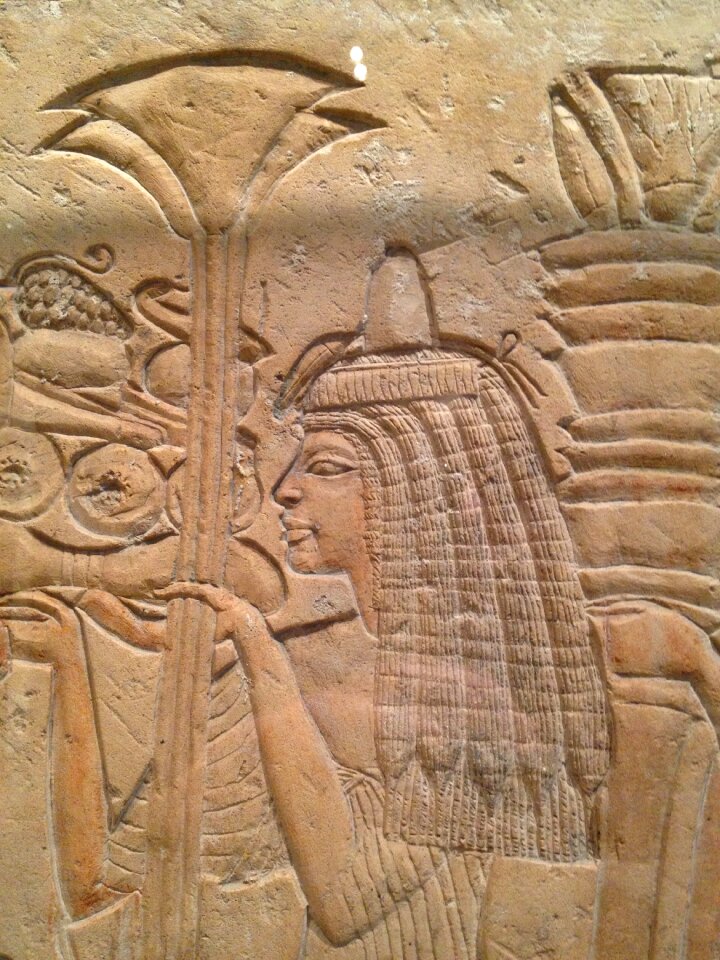 Ancient egyptian art lotus blossom