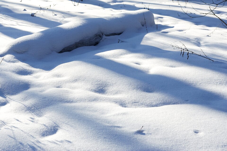 Ice frozen landscape photo