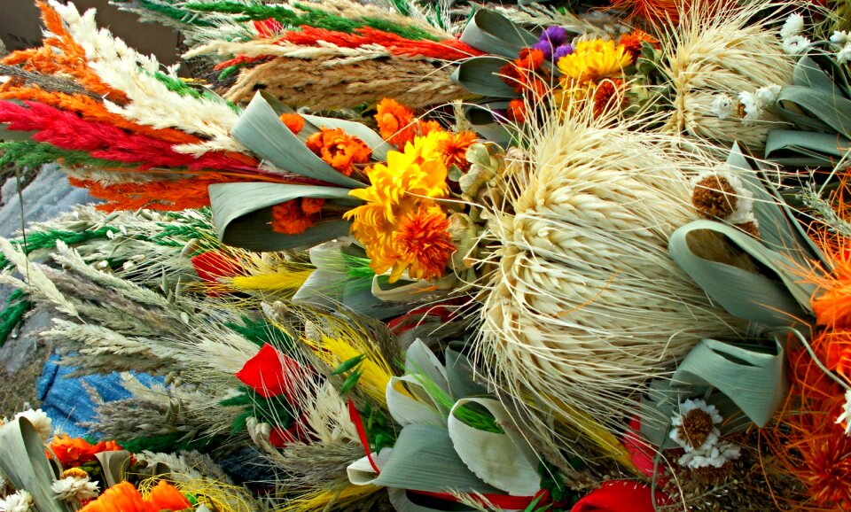Plant crafts handcrafted