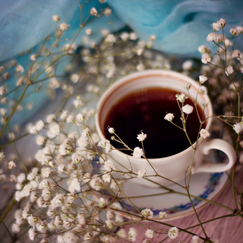 Coffee gypsophila flower