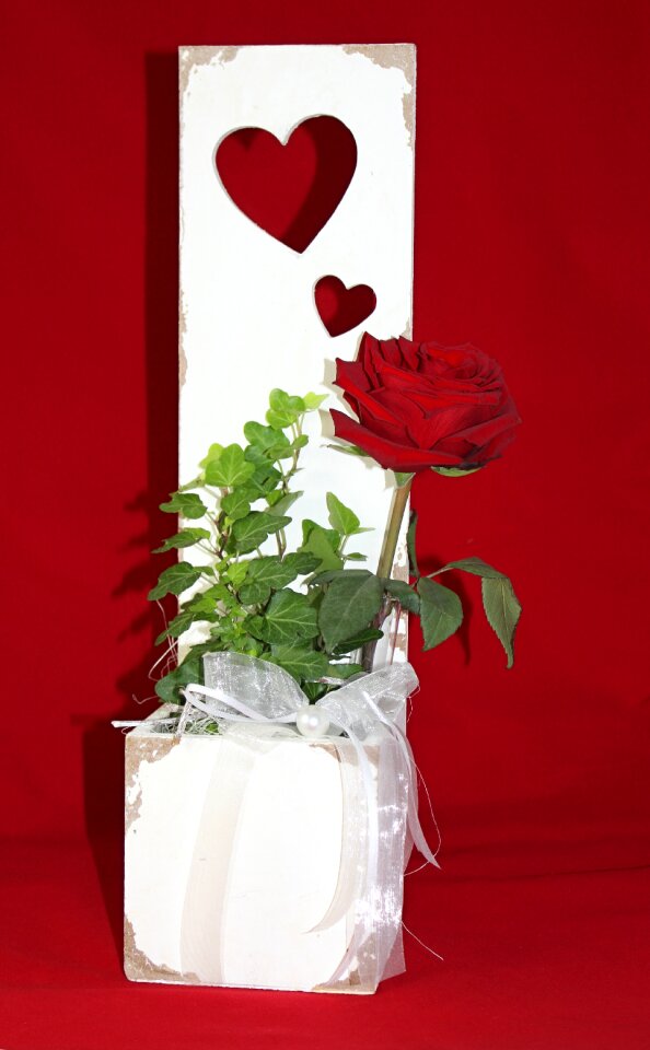 Flower red roses romantic