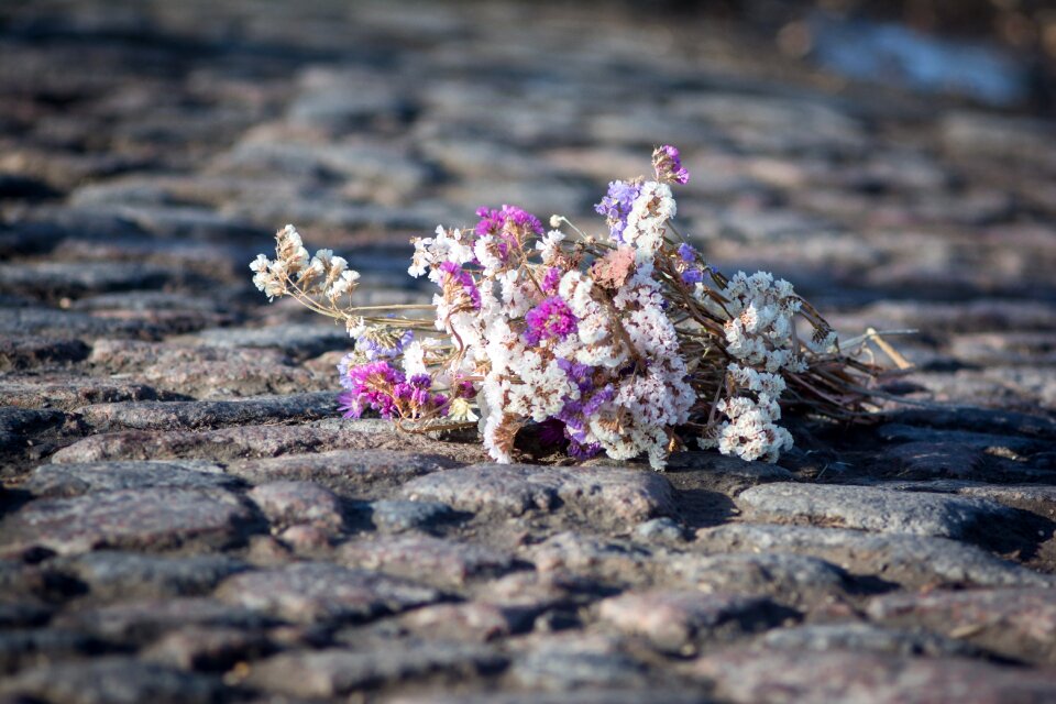 Macadam bouquet stone