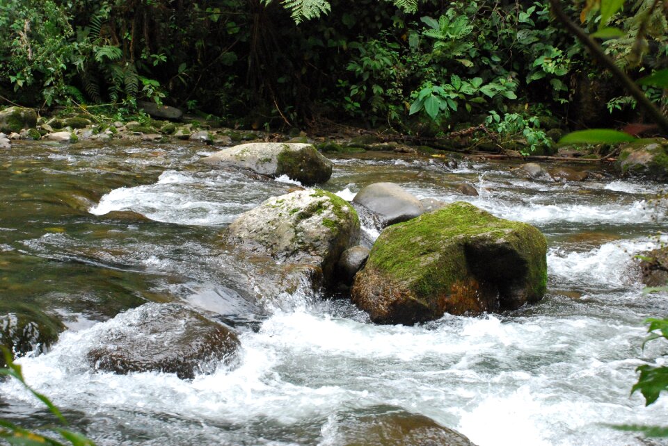 River flow indo photo