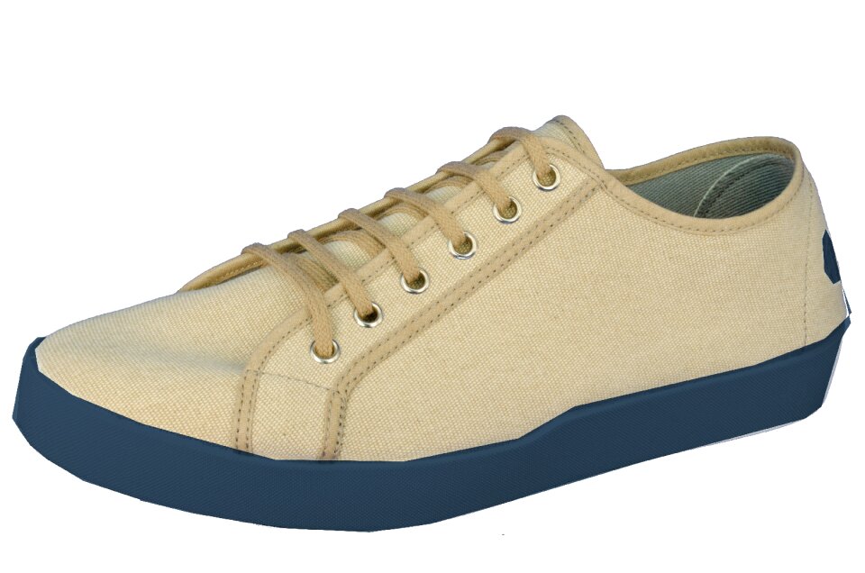 Footwear sneaker oldroof