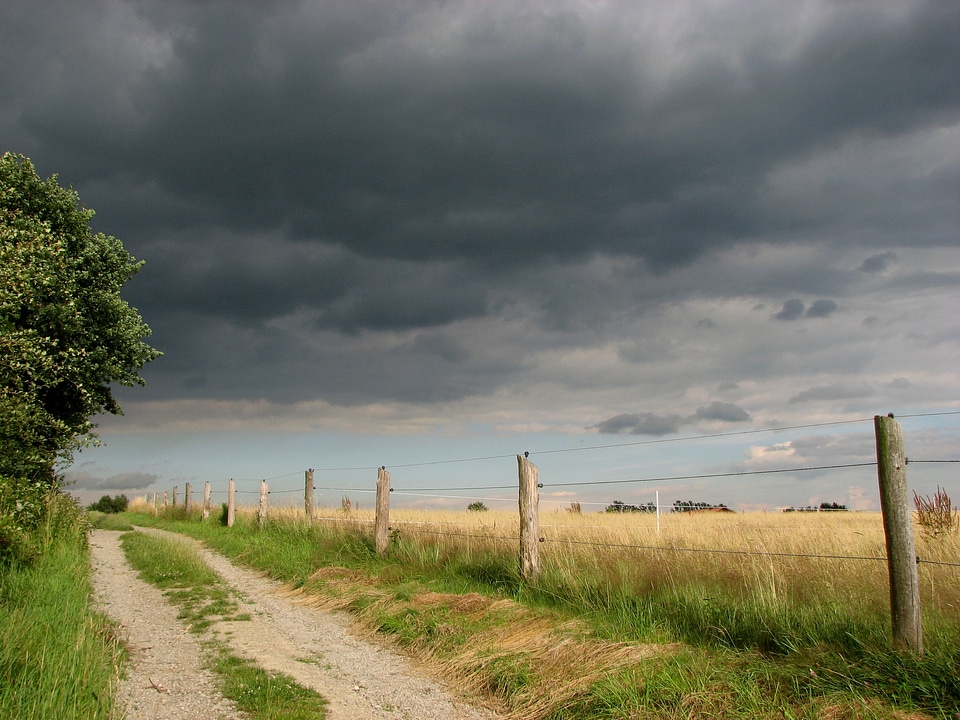 Field clouds thunderstorm