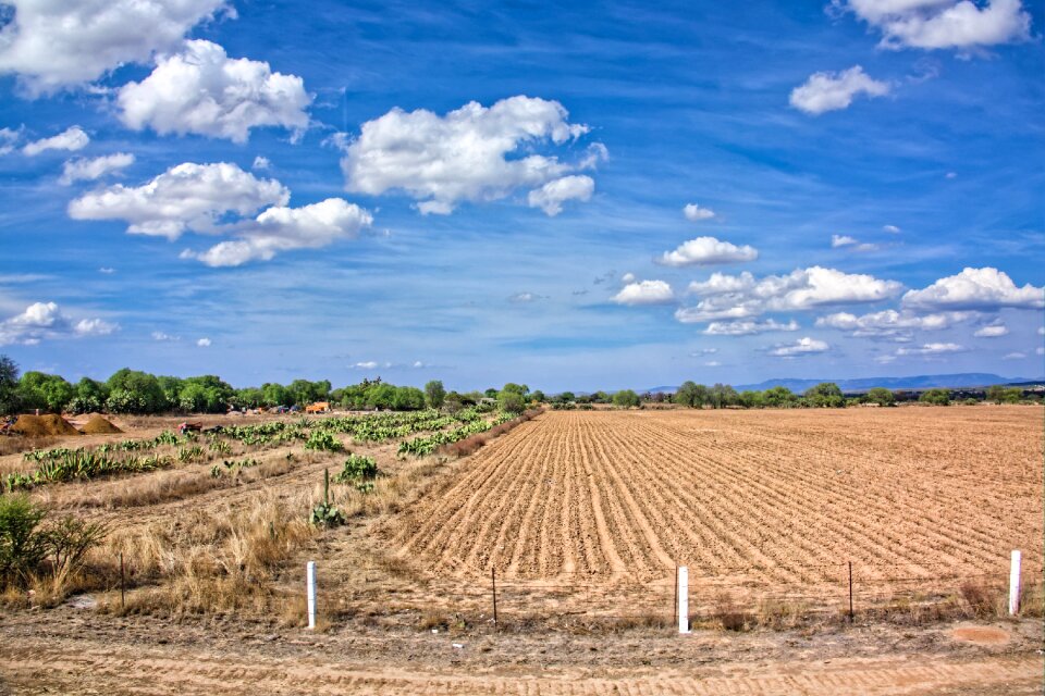 Sky landscape mexico