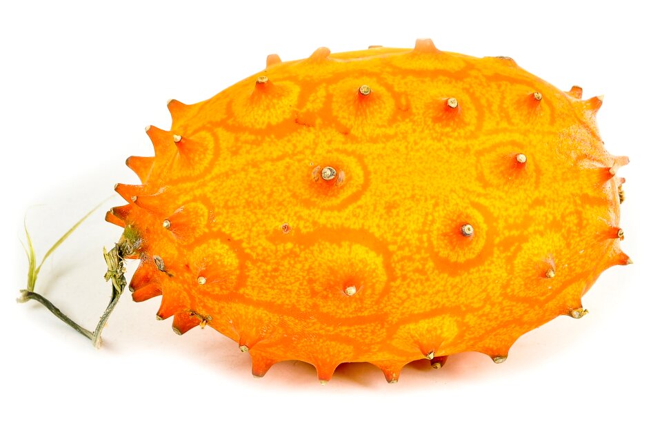 Krupnyj plan food on a white background