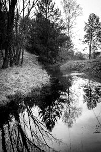 Waters wood black and white photography photo
