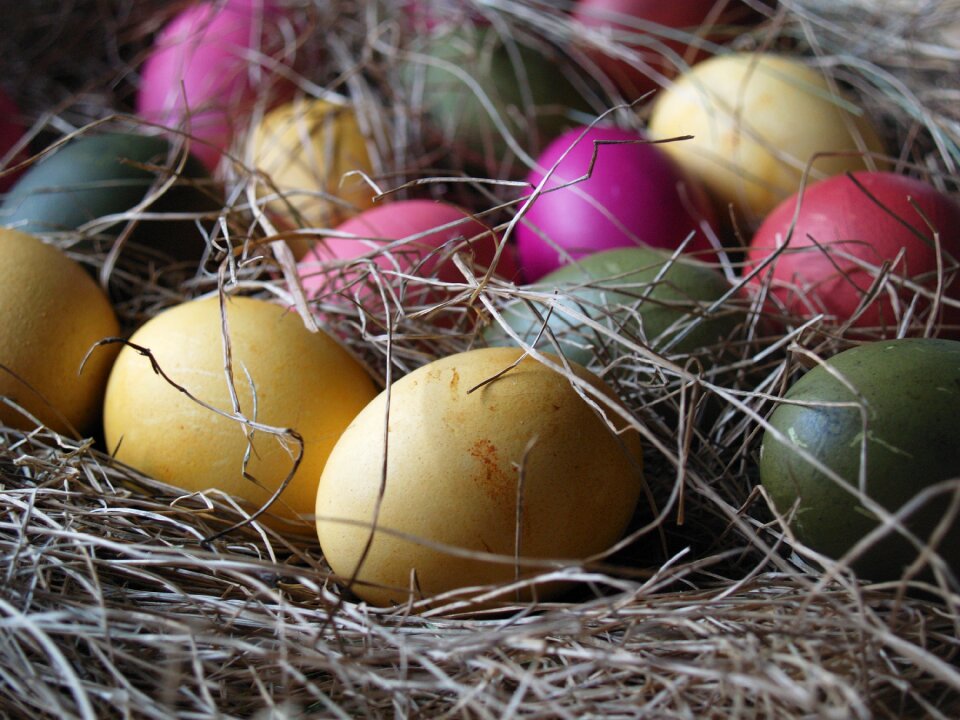 Nest hay still life