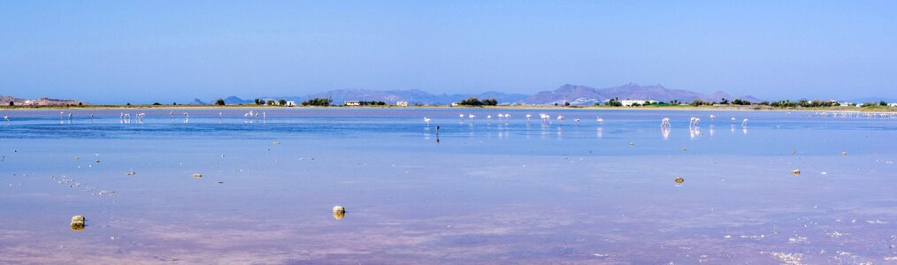 Lake landscape panoramic photo