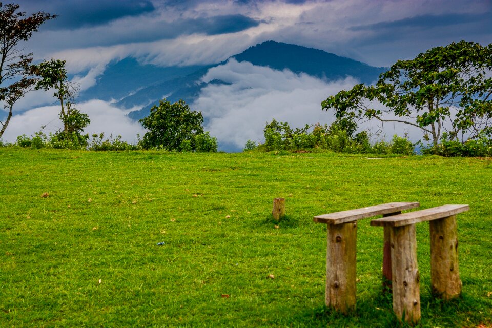 Nature hayfield field