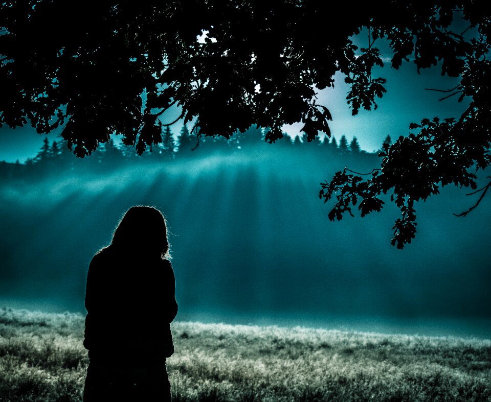 Outdoors sun fog