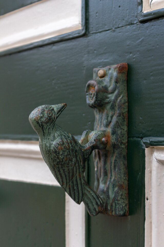 Building doorknocker door