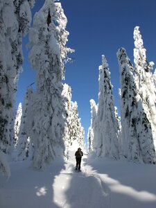 Ice frost expedition