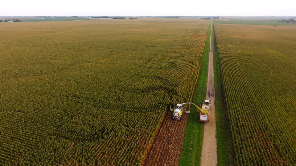 Crop harvest corn silage