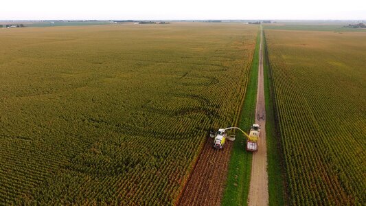 Crop harvest corn silage photo